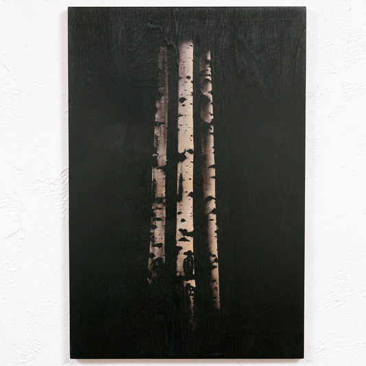 Ansel Aspens No. 1 - Wood Print