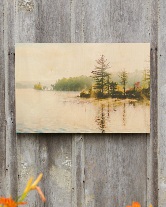 ADK Scene No 1 - Wood Print
