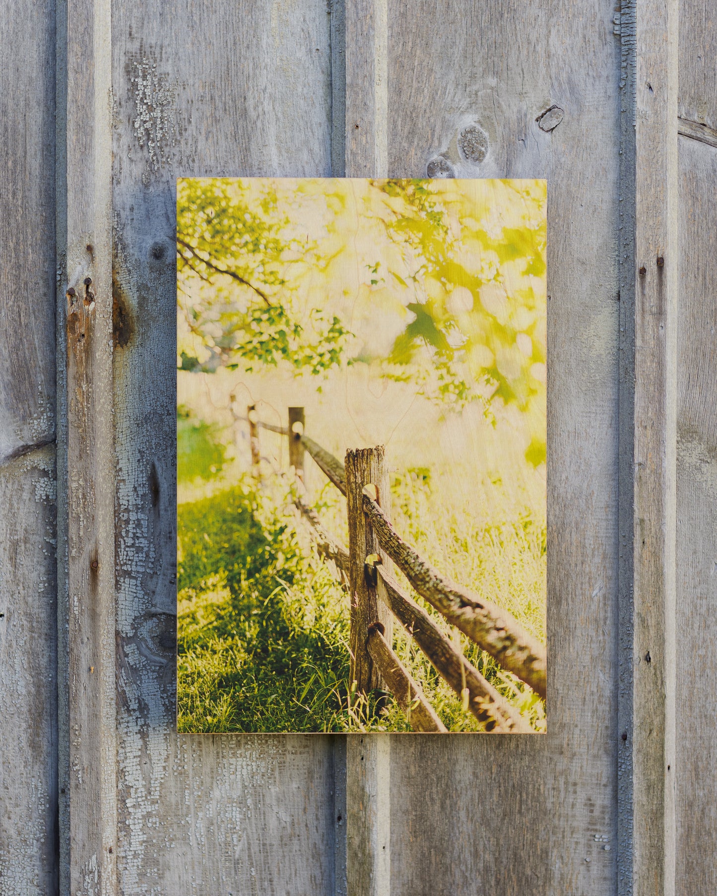 Knox Farm Fence - Wood Print